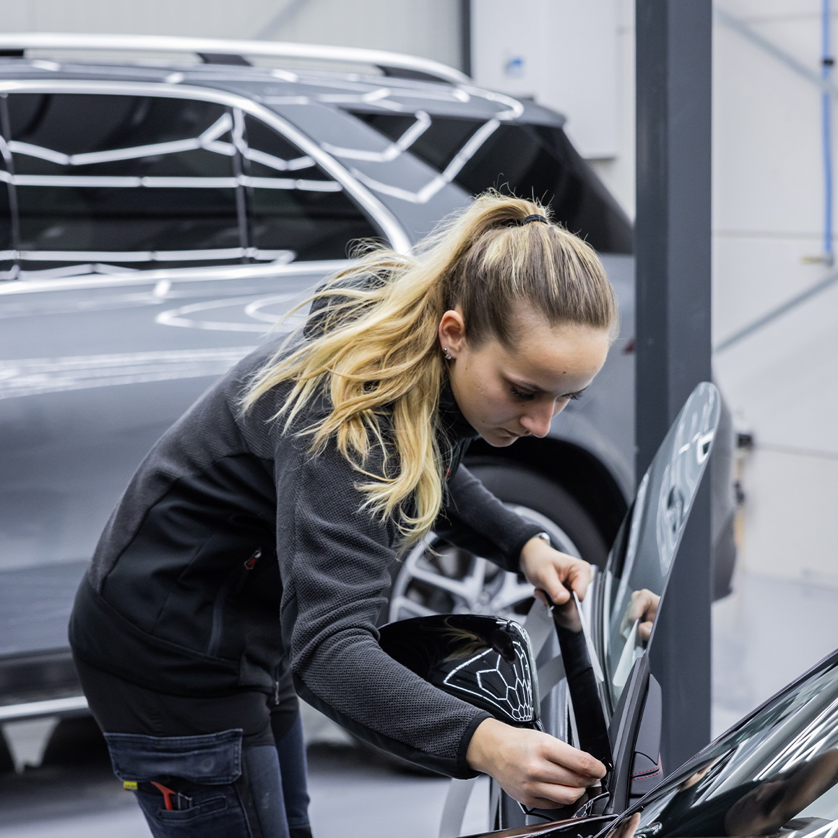 <h2>Professionele montage</h2>